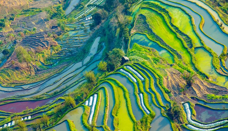 走进礼泉县TVC拍摄：解锁本地化场景与创意镜头的完美融合